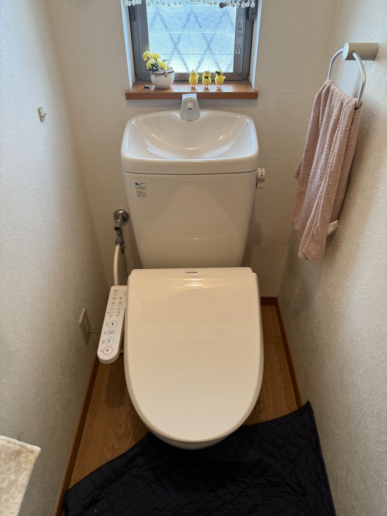 東芝クリーンウォッシュSCS-T160施工前